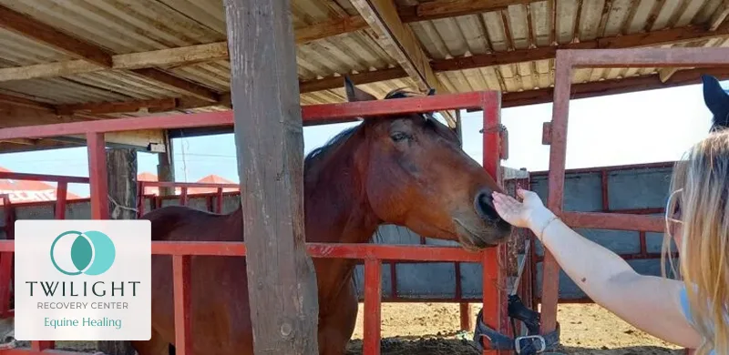 Equine Healing